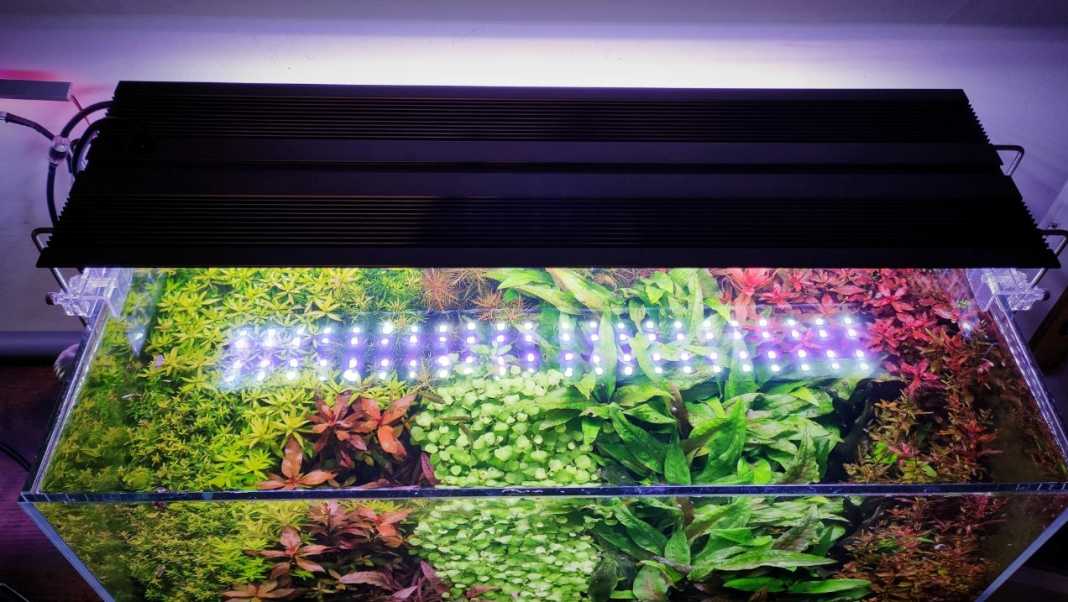 Ledstar-copertina Ledstar serie J