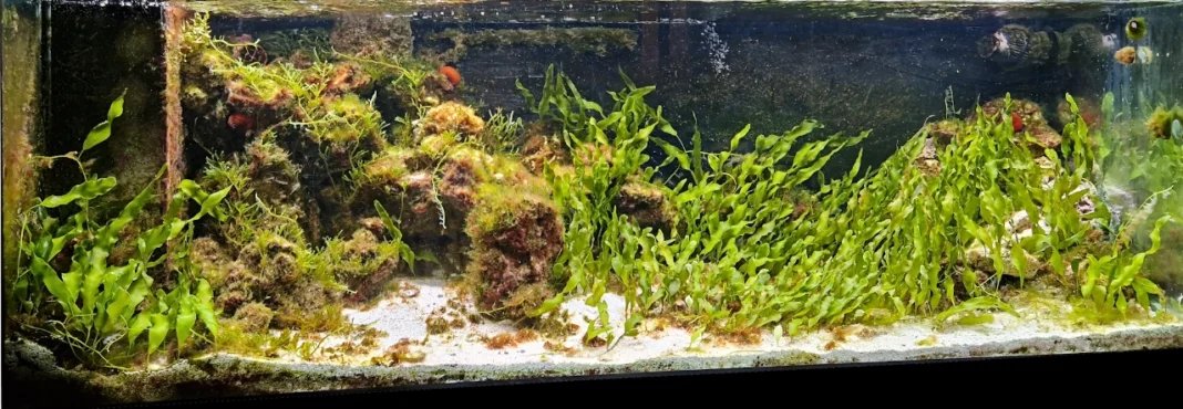 Acquario mediterraneo